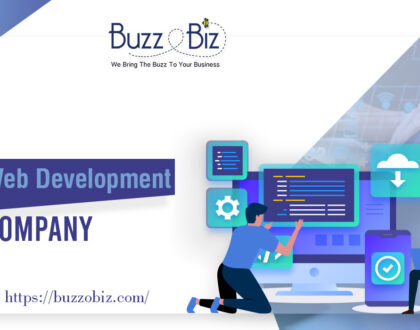 web development company in USA