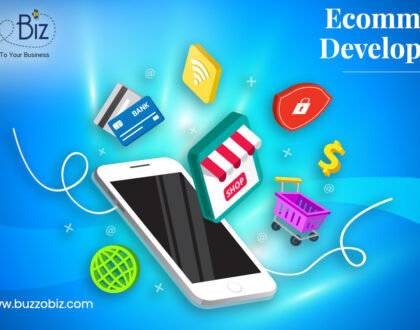 Ecommerce Development Company in USA